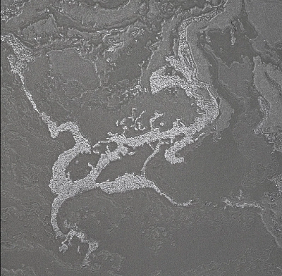 Обои 84282-13, Gaga, Bernardo Bartalucci