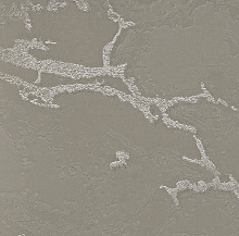 Серые обои в спальню Bernardo Bartalucci Gaga  84282-8