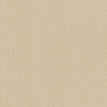 Коричневые обои для стен Alessandro Allori Bruni 1002-5 RBN