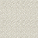 ERBA ROSA 5